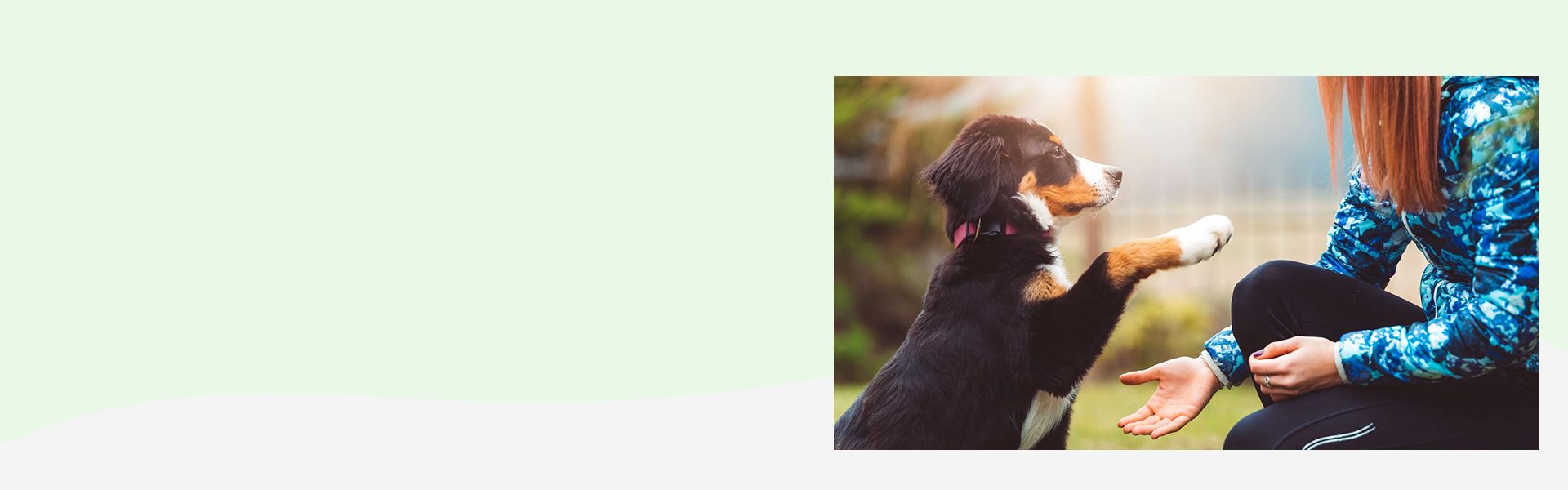 Women on a walk with her dog