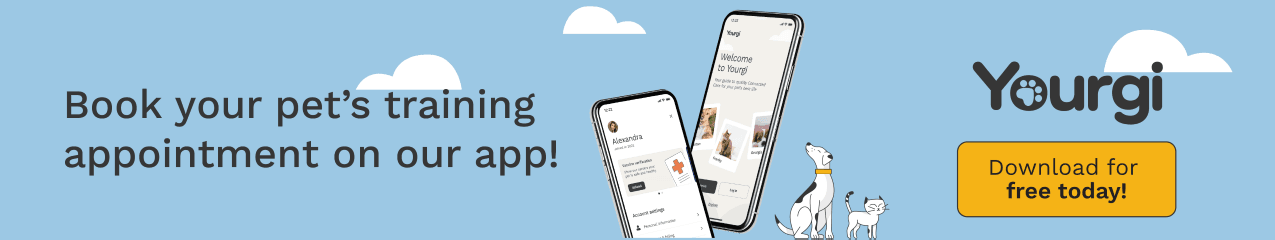 Book your pet's training appointment on our app!
