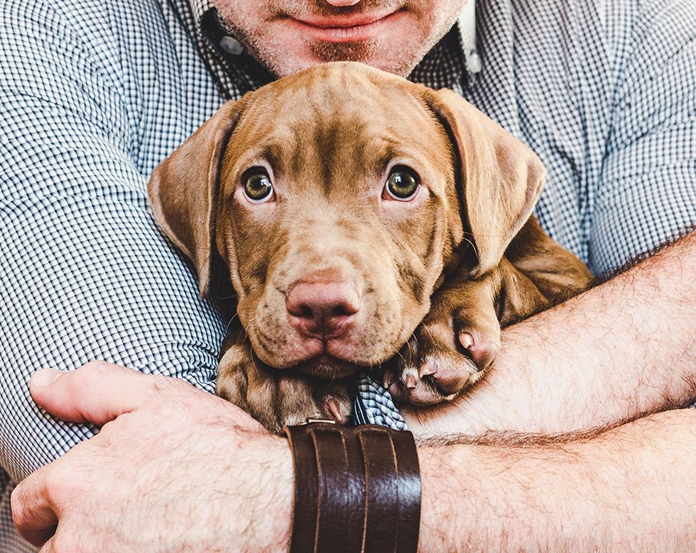 happy man hugging puppy