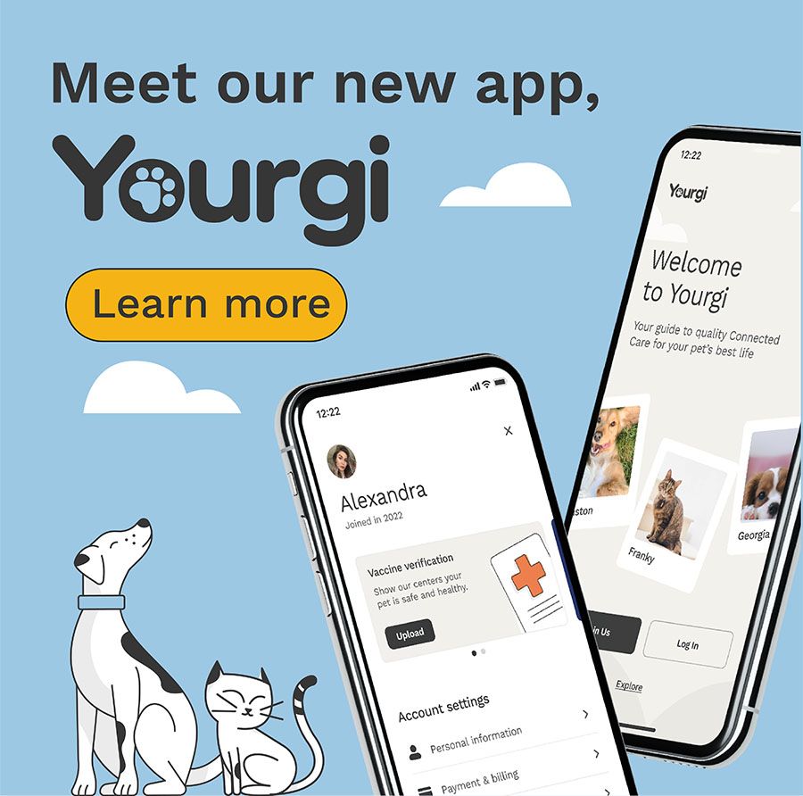 book your pet's boarding appointment on our app!